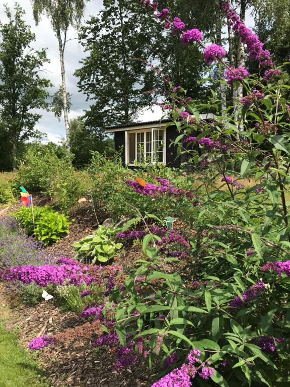 einen Garten mit lila Blumen vor einem Haus in der Unterkunft Backahusets B&B in Höör