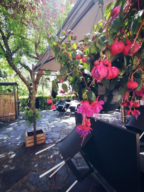 a group of flowers in pots on a table at Hôtel Restaurant "La Petite Auberge" in Bourg-Saint-Maurice
