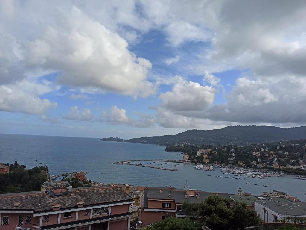 a view of a large body of water with boats at Poggio dei sogni in Rapallo
