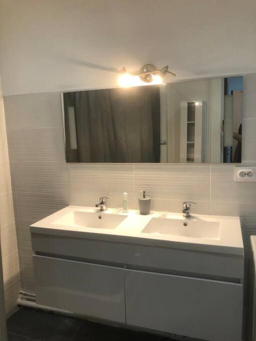 a bathroom with two sinks and a mirror at Appartement all in grey in Agen