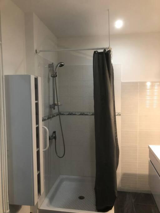 a shower with a shower curtain in a bathroom at Appartement all in grey in Agen