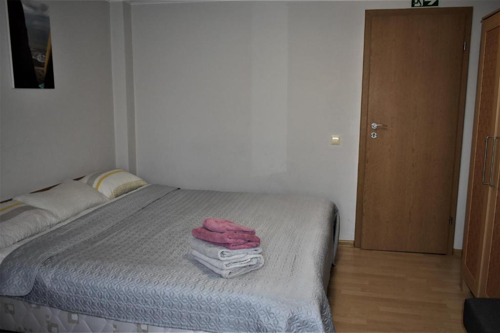 Postel nebo postele na pokoji v ubytování Guest House Gero Vėjo Namai