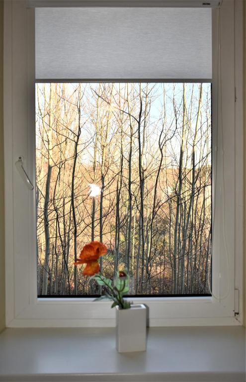 Fotografie z fotogalerie ubytování Guest House Gero Vėjo Namai v destinaci Klaipėda