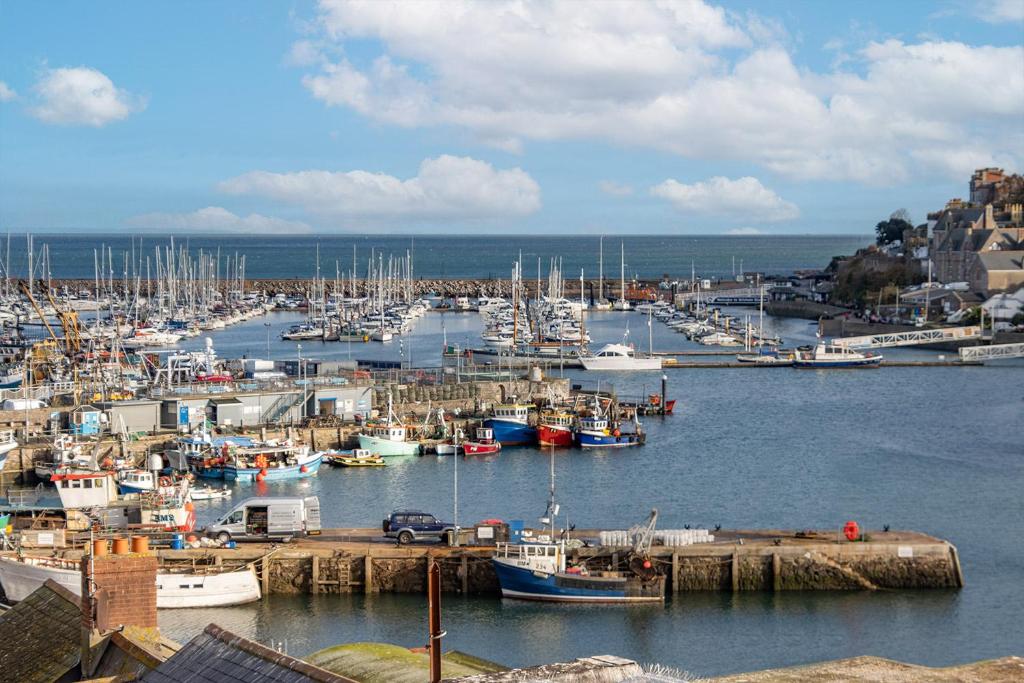 a bunch of boats docked in a harbor at Oyster Catcher Cottage in Brixham