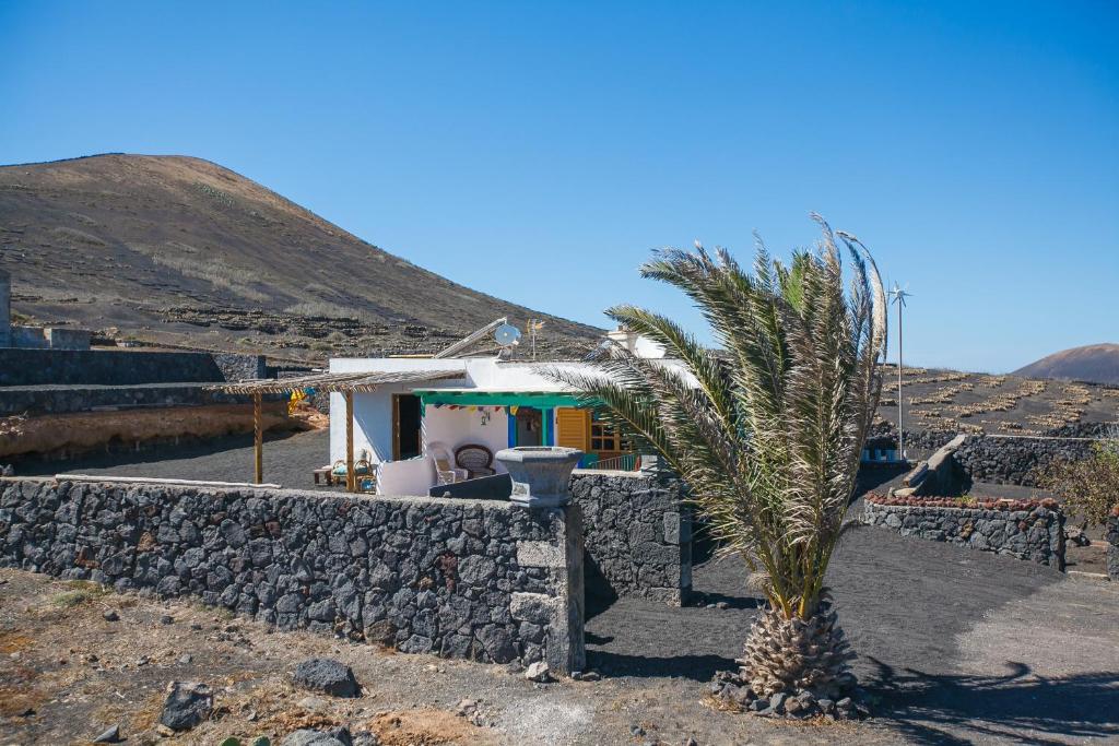 a palm tree in front of a house at Casa La Geria in La Asomada