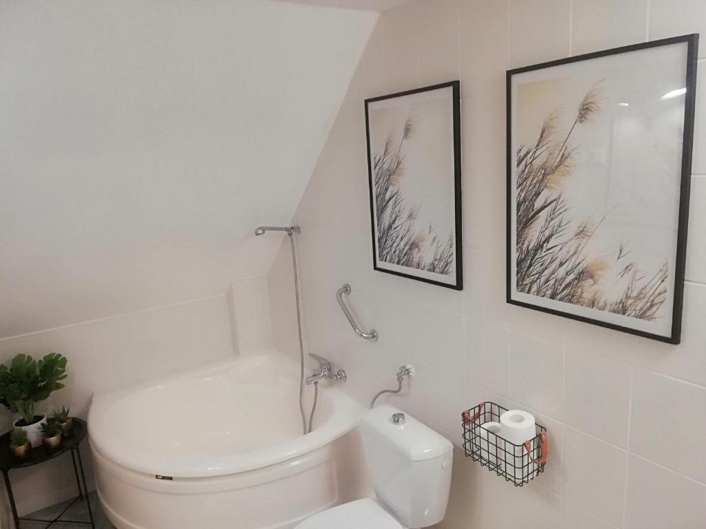 Great Polonia Jelenia Góra City Center - 18