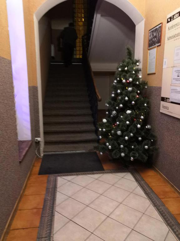 Fotografie z fotogalerie ubytování Hotel Ludza v destinaci Ludza