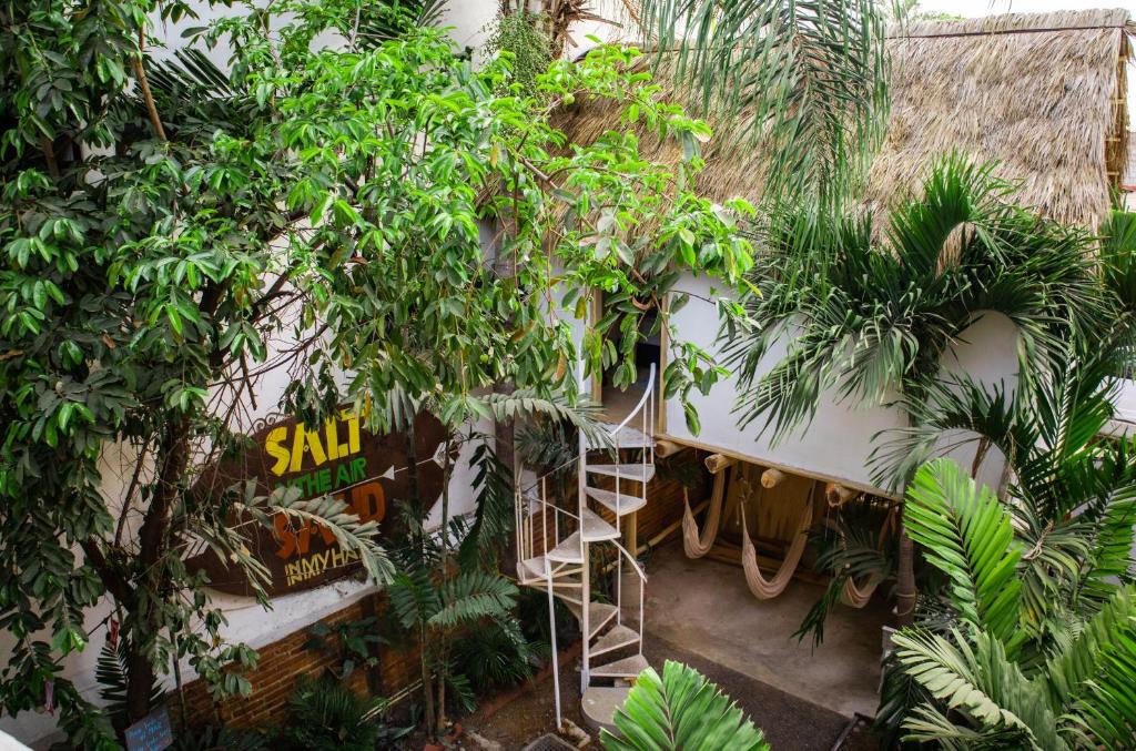 Zahrada ubytování La Redonda Sayulita Hostal
