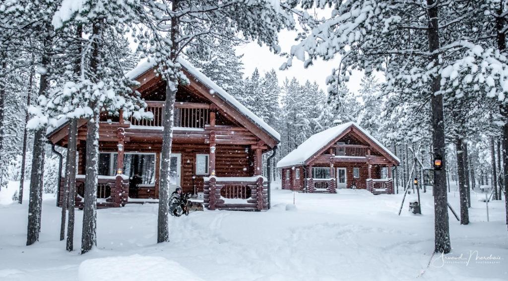 a log cabin in the snow with trees at Lampiranta Log cabin in Hossa