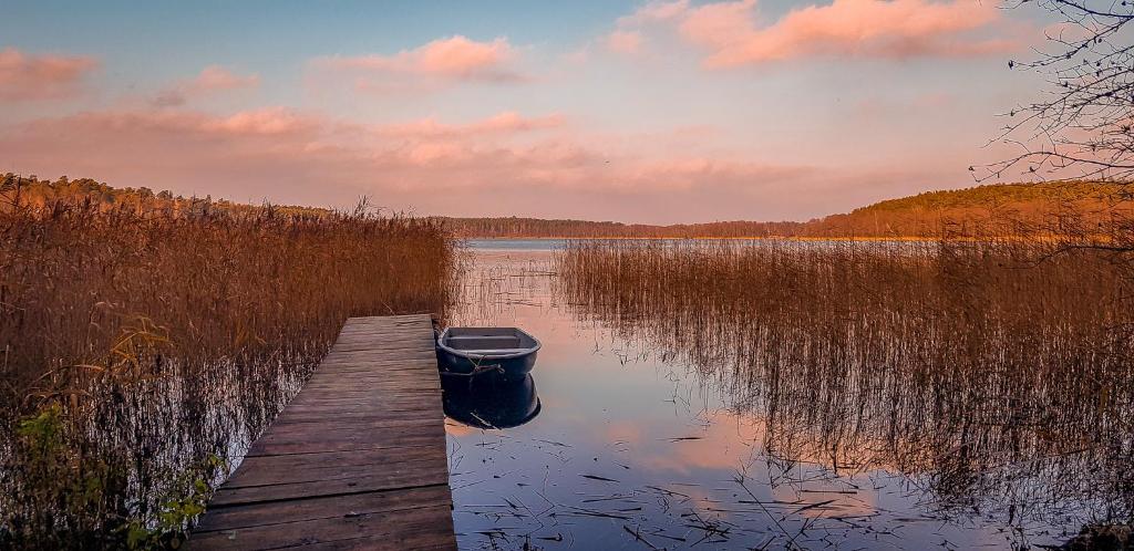 a boat sitting on the water next to a dock at Ulążki17 - dom na brzegu jeziora w sercu lasu in Szczytno