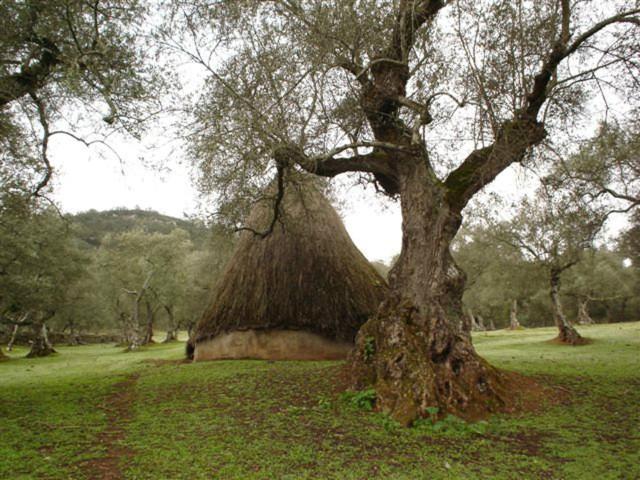 Casa LOREN - Housity