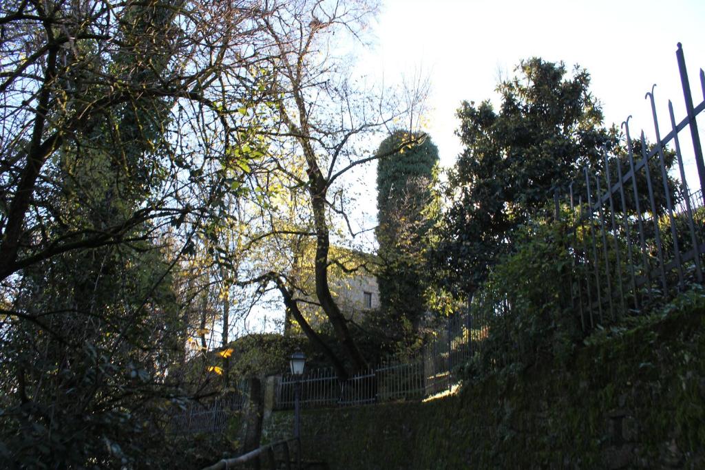 Příroda nedaleko bed and breakfast