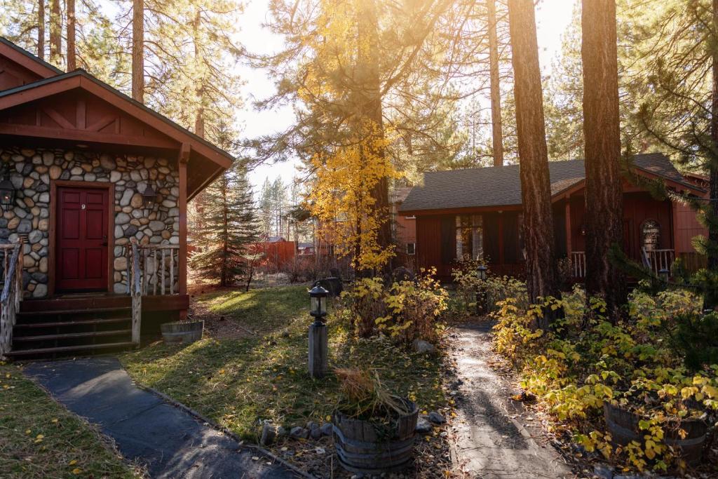 Zahrada ubytování Black Bear Lodge