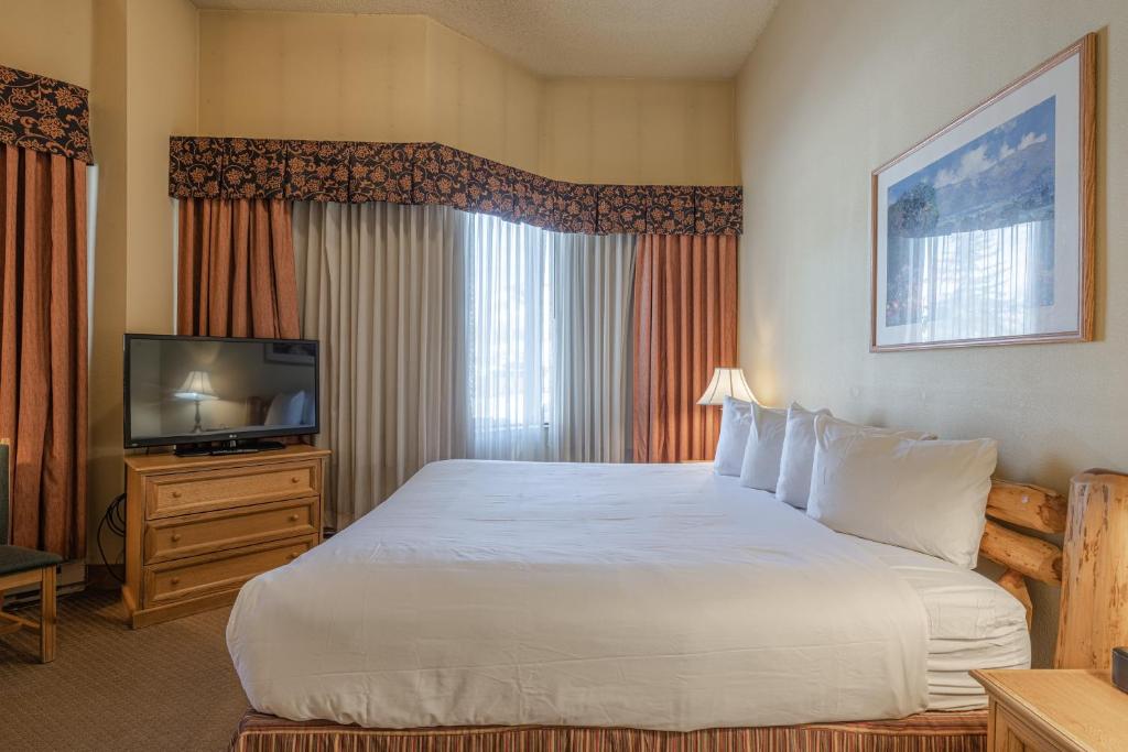 una camera d'albergo con letto e TV di Cozy Pet-Friendly King Studio in Mt, Crested Butte condo a Crested Butte