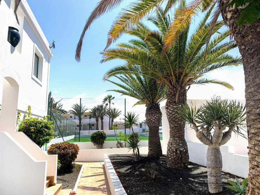 Zahrada ubytování Armonia Pool View & Wi-Fi by iRent Fuerteventura