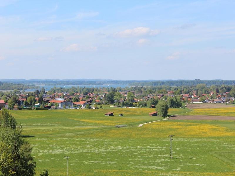 Příroda nedaleko farmy