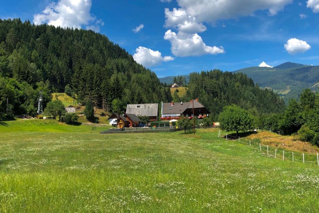 a field with a barn and mountains in the background at Pension Edlinger in Sankt Georgen ob Murau