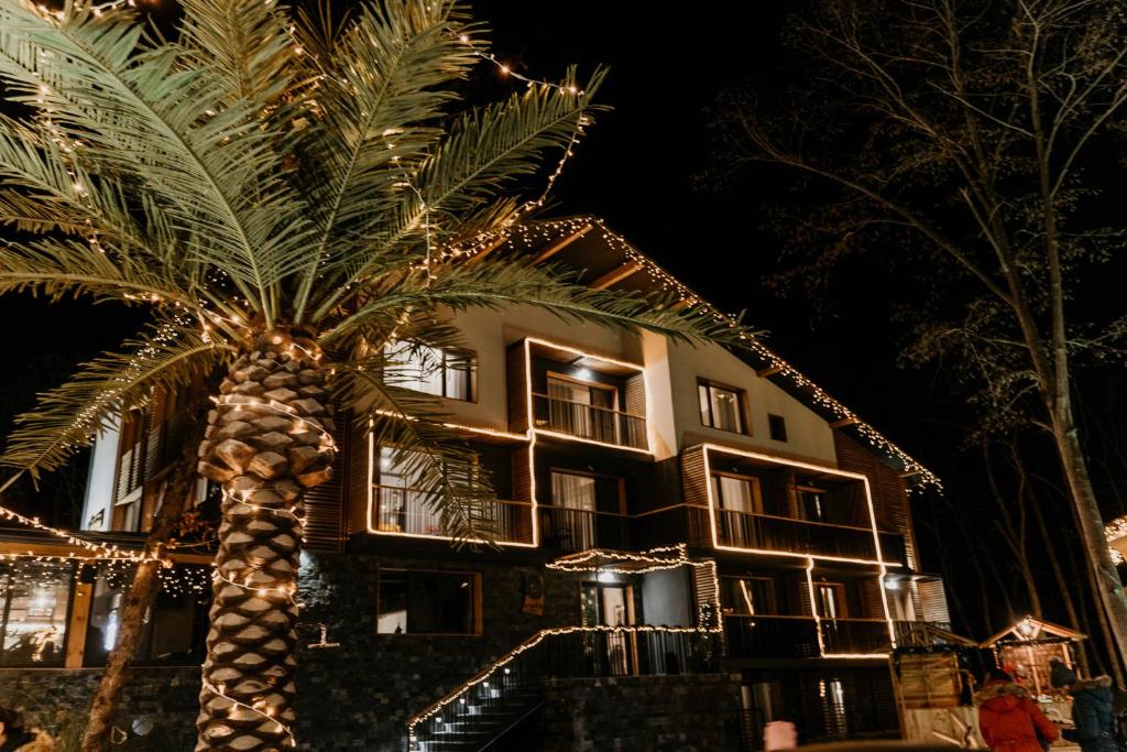 a palm tree in front of a building with christmas lights at Utopia Forest in Burgas