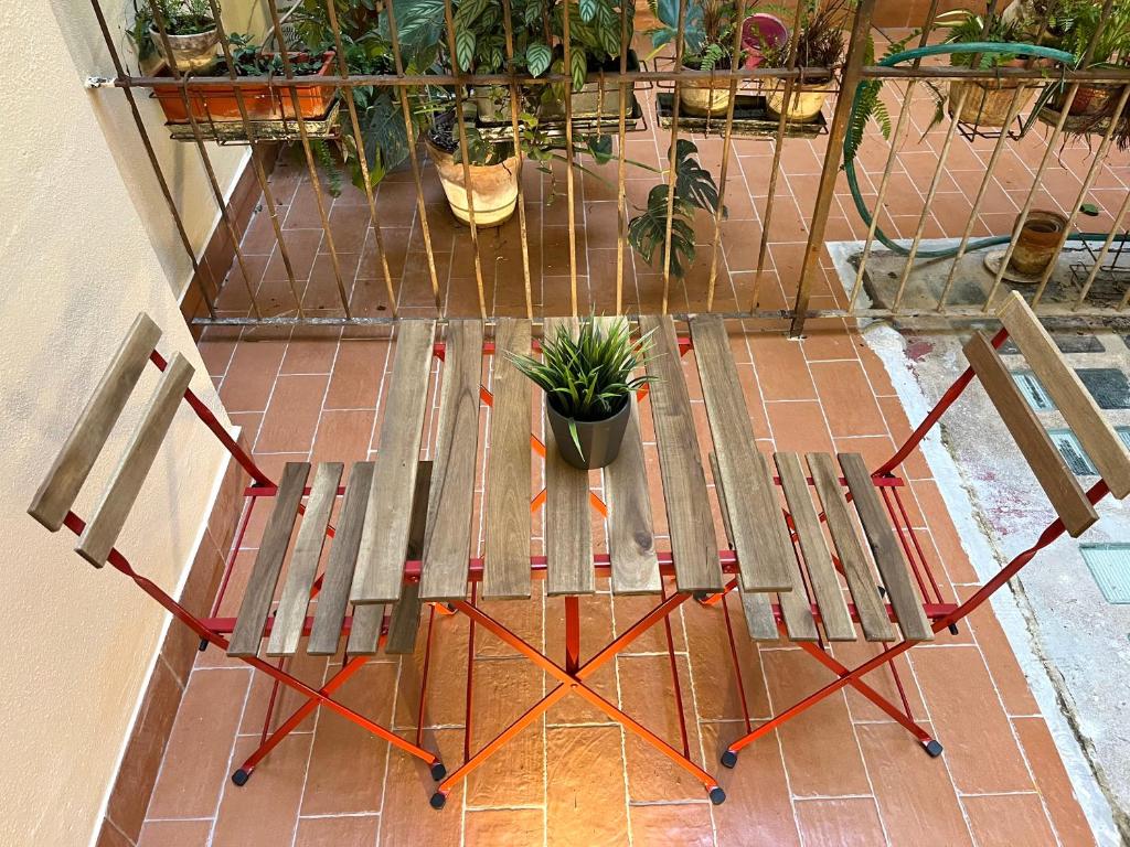 ローマにあるDomus Avi - Guest Houseの鉢植えの木製ベンチ