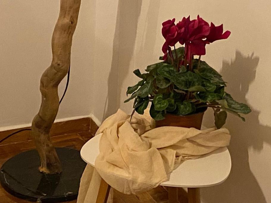 Fotografia z galérie ubytovania Cozy and comfortable apartment in Athens Center v Aténach