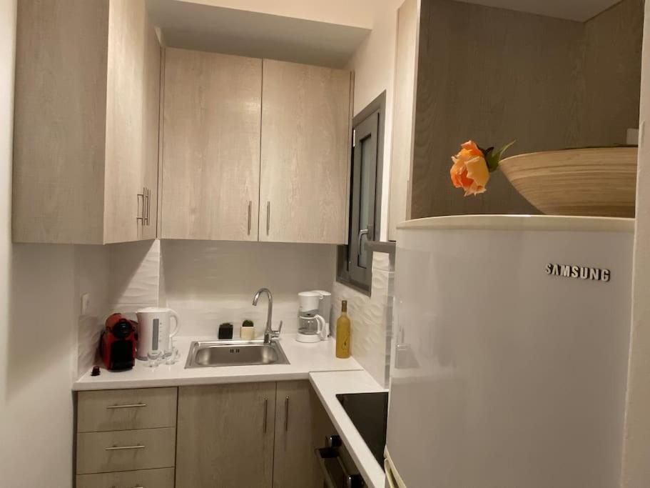 Kuchyňa alebo kuchynka v ubytovaní Cozy and comfortable apartment in Athens Center