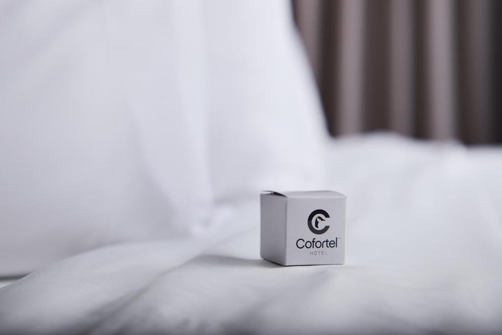 
King Room - Ground Floor
