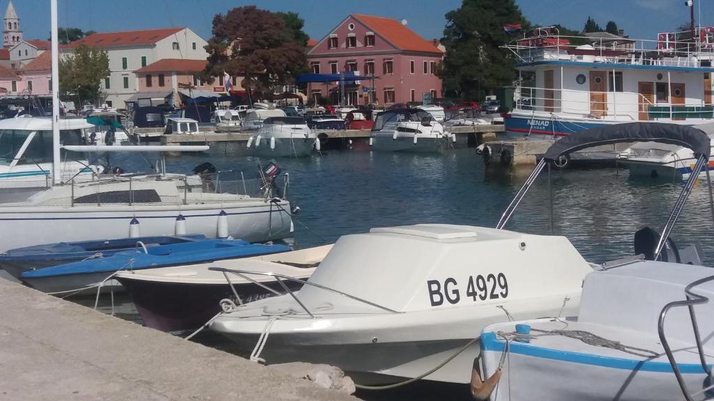 a group of boats are docked in a marina at APARTMAN SILVA in Biograd na Moru