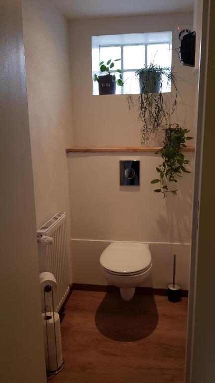 Gite See You Soon - Maisonnette Green Lodge – photo 28