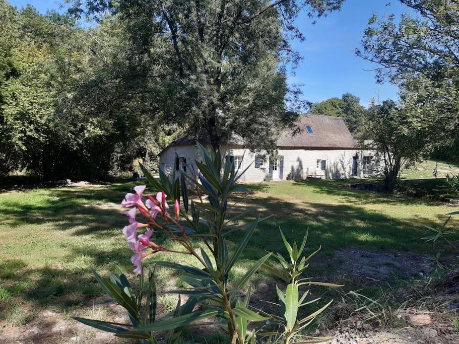 a plant with pink flowers in front of a house at Moulin Clamens in Cavarc