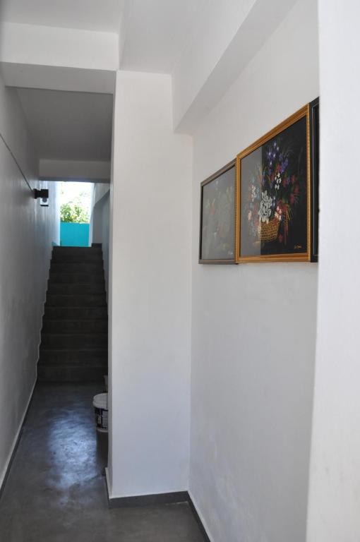 Fotografie z fotogalerie ubytování The Ocean v destinaci Galle