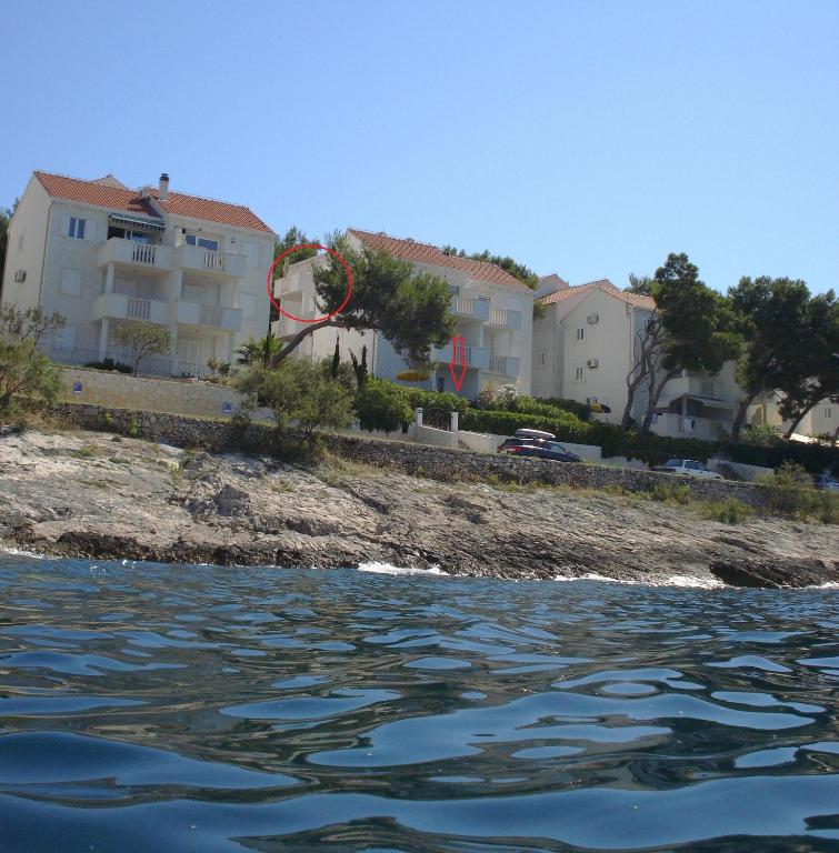 Příroda nedaleko apartmánu