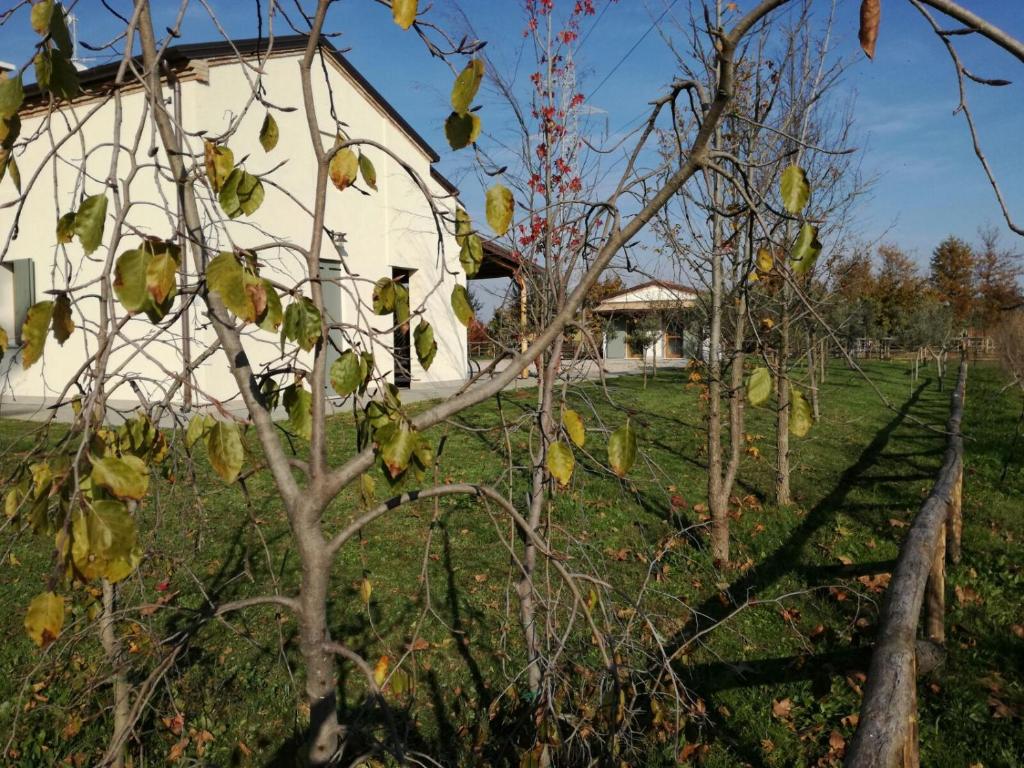 Giardino di Agriturismo Corte Benetti