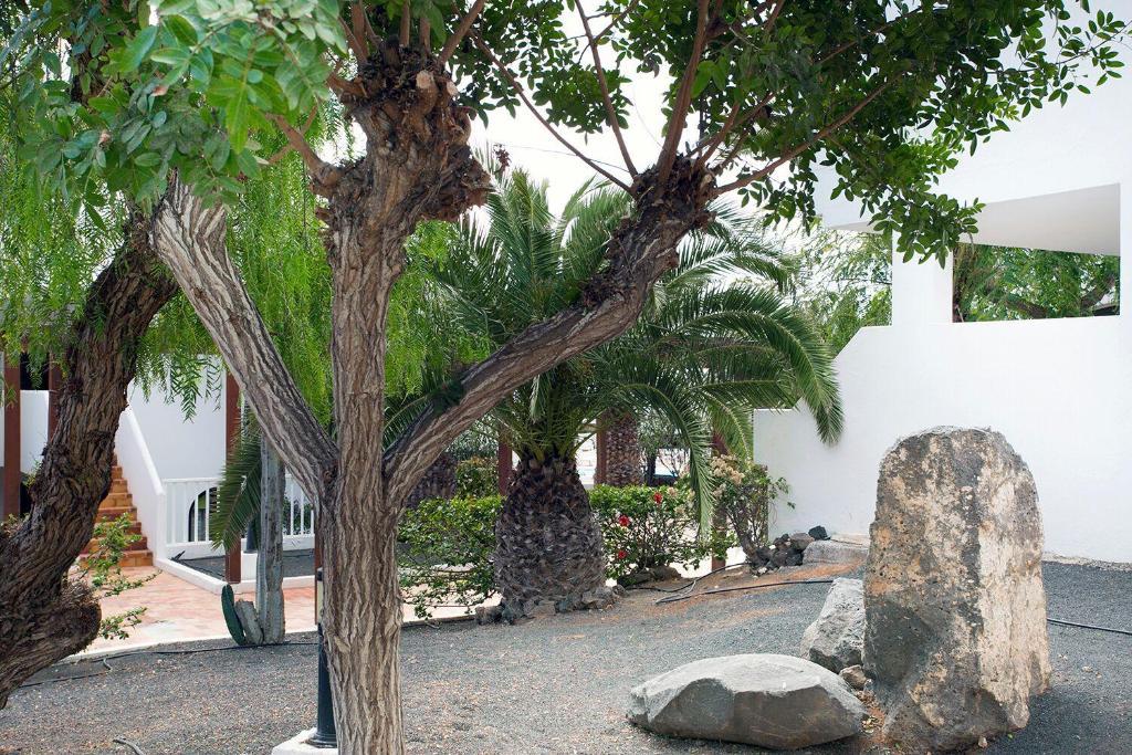 Fotografie z fotogalerie ubytování Vivienda Vacacional Erido v destinaci Costa Teguise