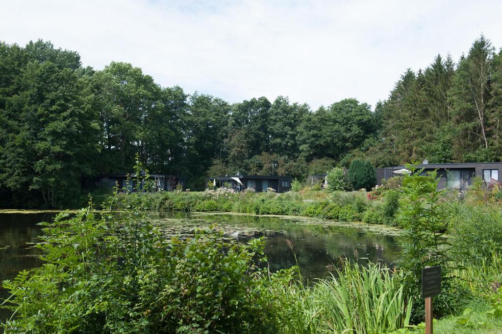 une rivière avec de l'herbe et des arbres en arrière-plan dans l'établissement Gronenberger Mühle Haus 4, à Scharbeutz