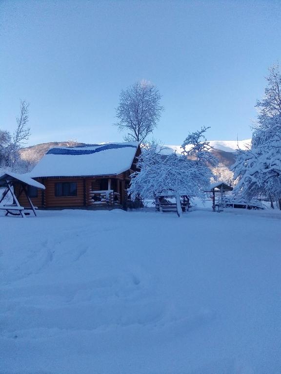 Cottage Лісовий v zimě
