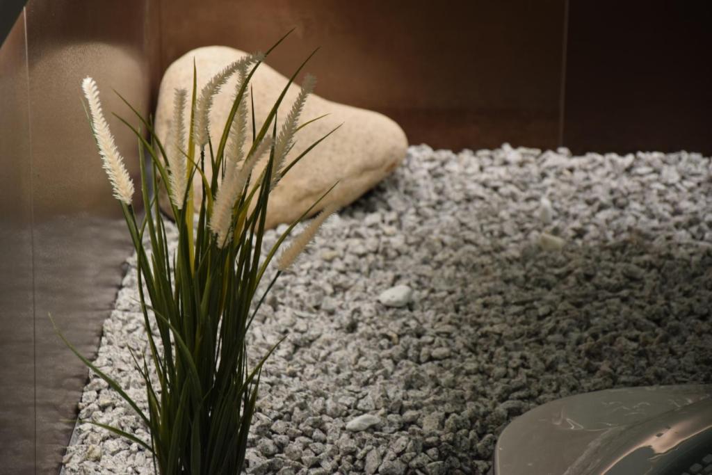Fotografie z fotogalerie ubytování Anna SPA & Wellness Hotel Nejdek v destinaci Nejdek