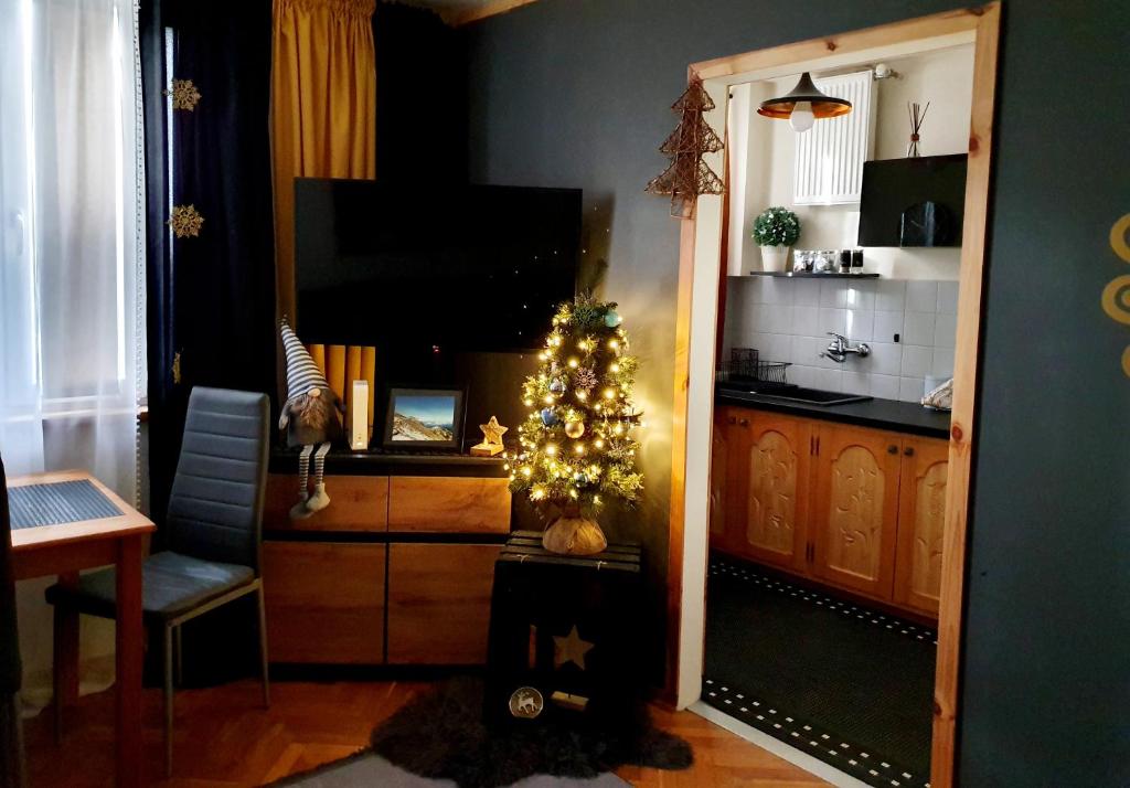 Kuchyňa alebo kuchynka v ubytovaní Apartament IZBA W CENTRUM