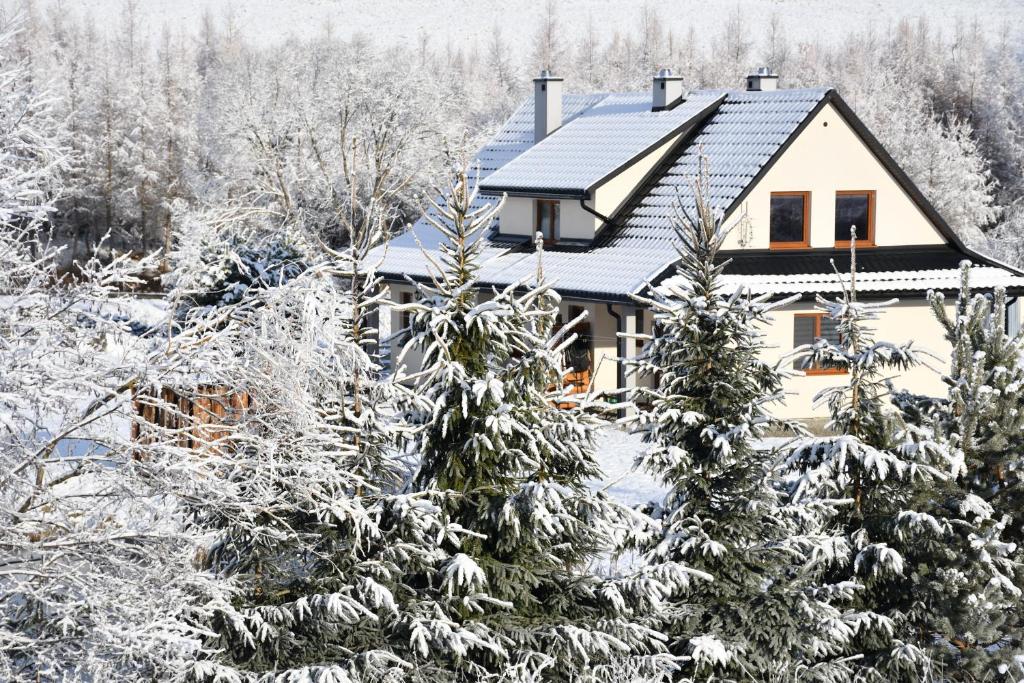 a house in the snow with trees at Pod Nartami in Hoczew