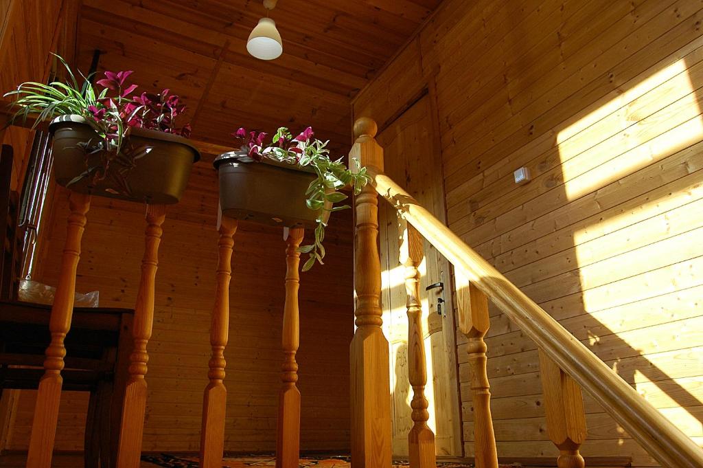 Fotografie z fotogalerie ubytování Badishi Guesthouse v destinaci Mestia