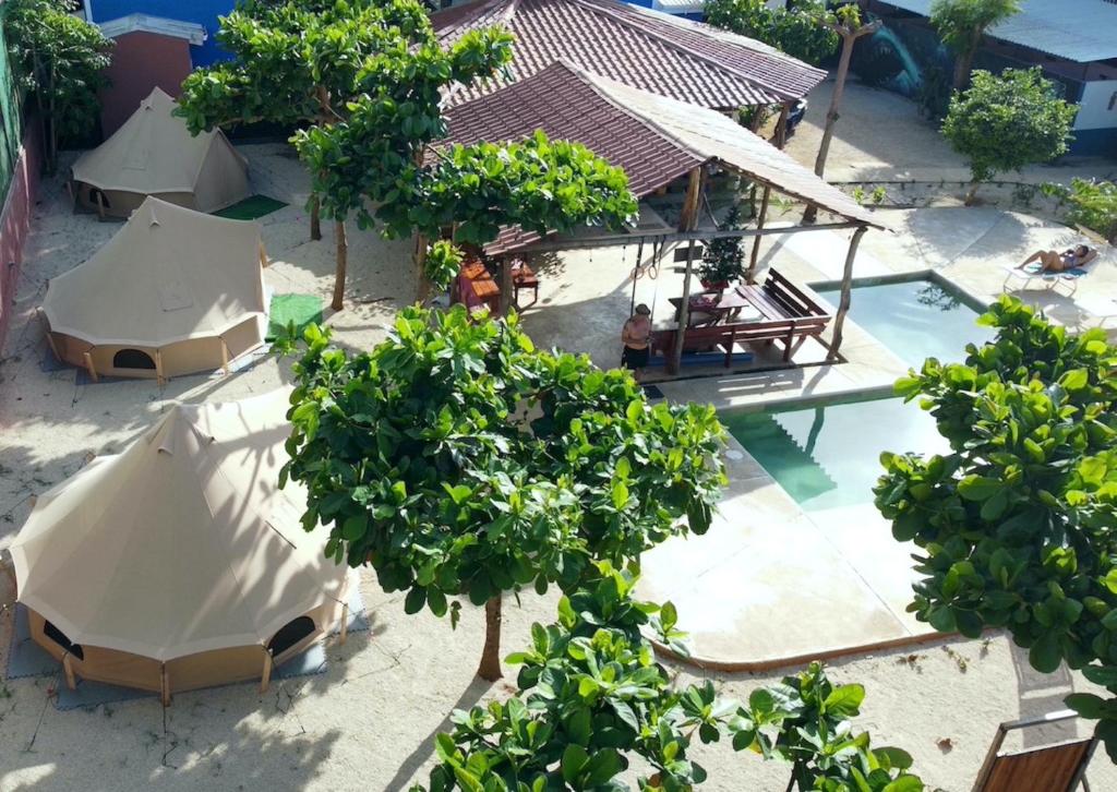Bazén v ubytování TamaHostel & Glamping nebo v jeho okolí
