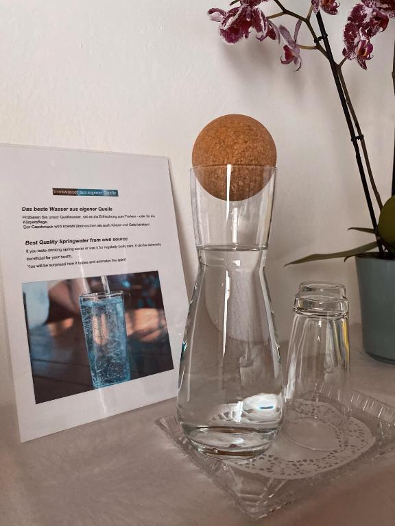 Fotografie z fotogalerie ubytování Haus Ratgeb ve Filzmoosu