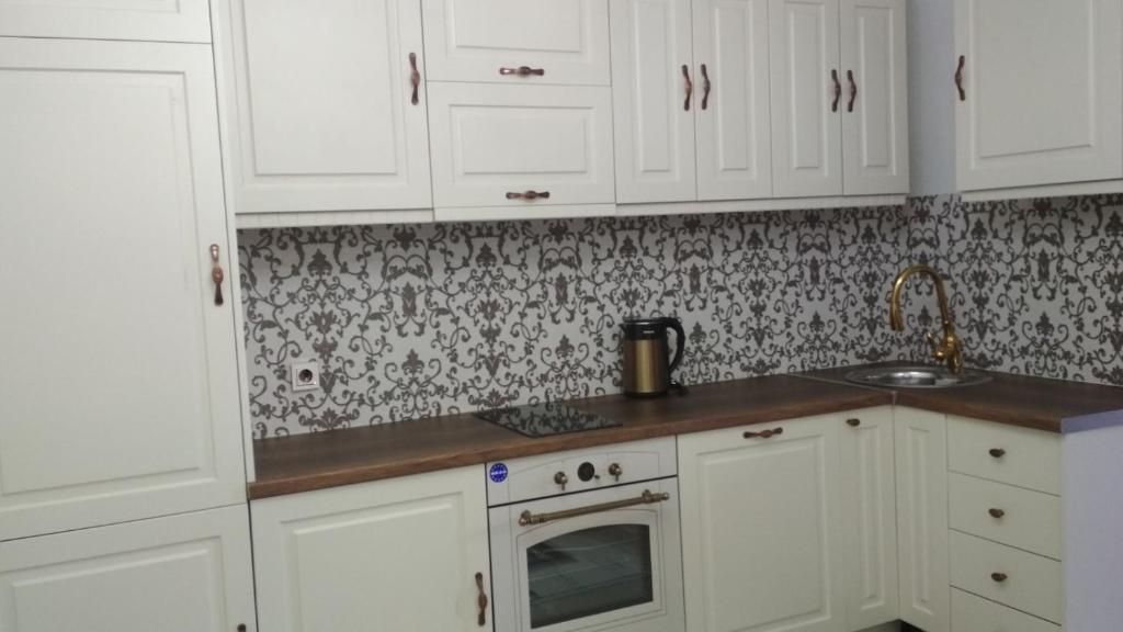 Kuchyň nebo kuchyňský kout v ubytování Ikonomov House