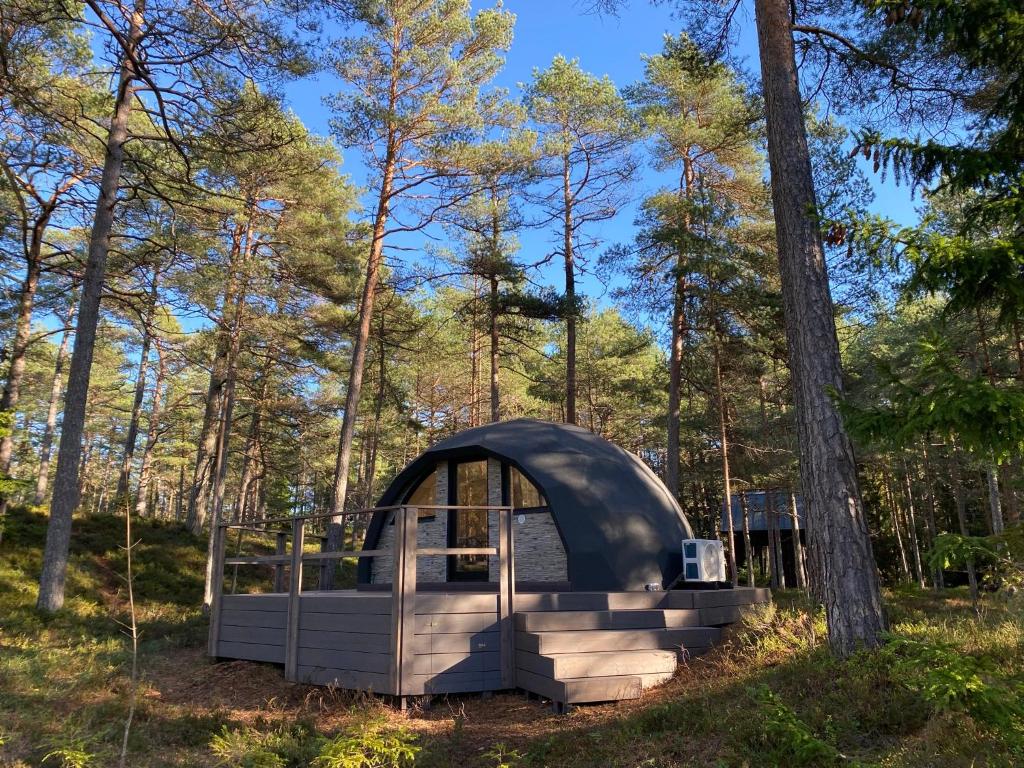 una pequeña cabaña en el bosque con árboles en Pokemaja Nõva männimetsas, en Rannaküla
