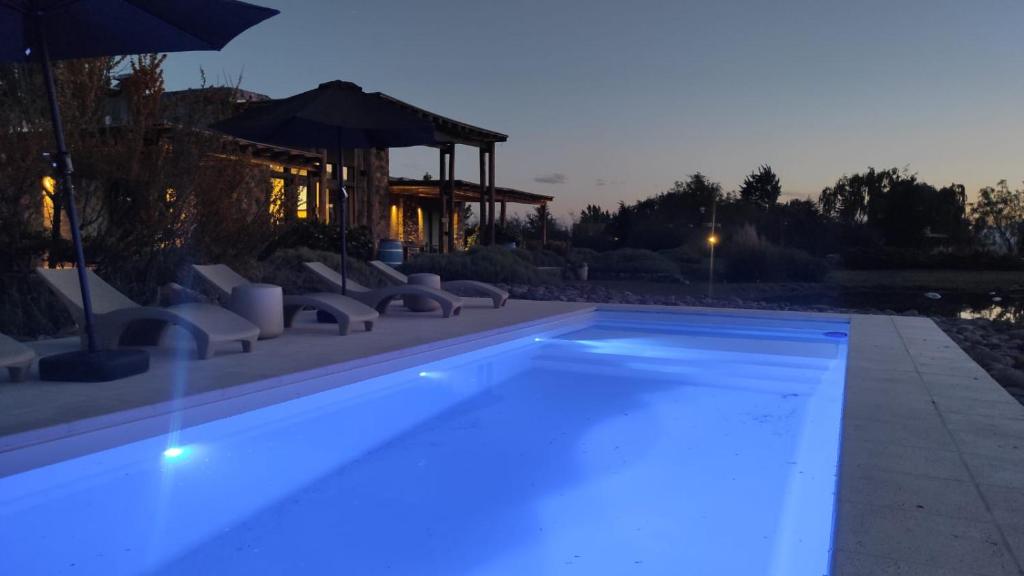 Casa de Huéspedes Bodega Gimenez Riili في Los Sauces: حمام سباحة مع إضاءة زرقاء في الفناء الخلفي