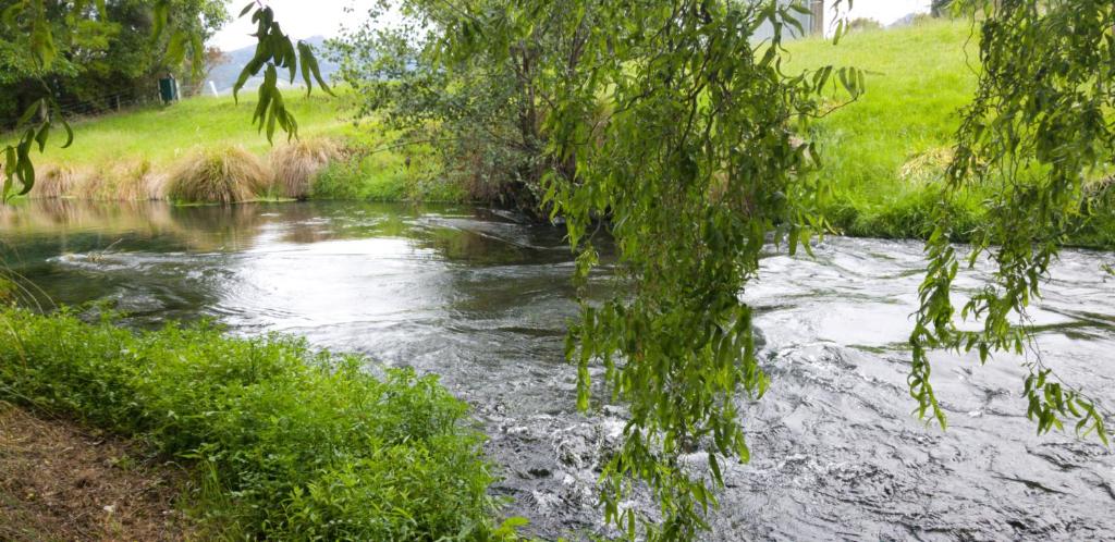 Spring Creek Holiday Park - Resim 13