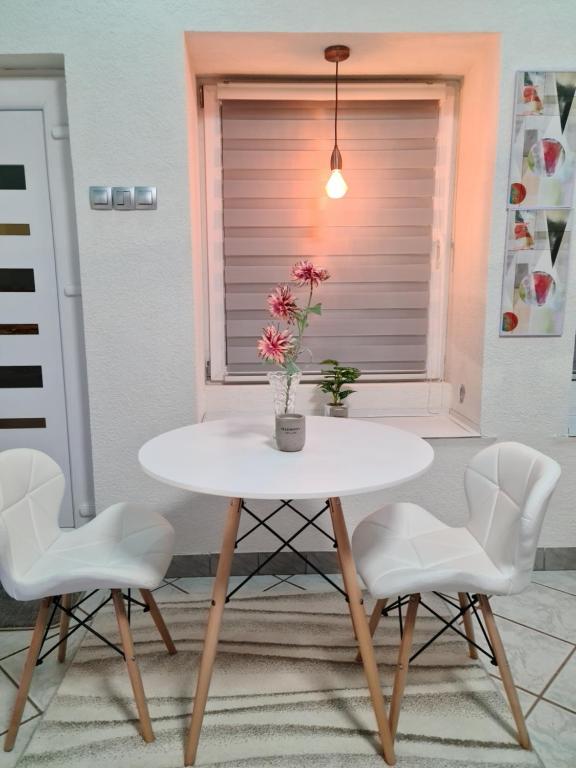 Fotografie z fotogalerie ubytování Apartman -HARMONY- v destinaci Paracin