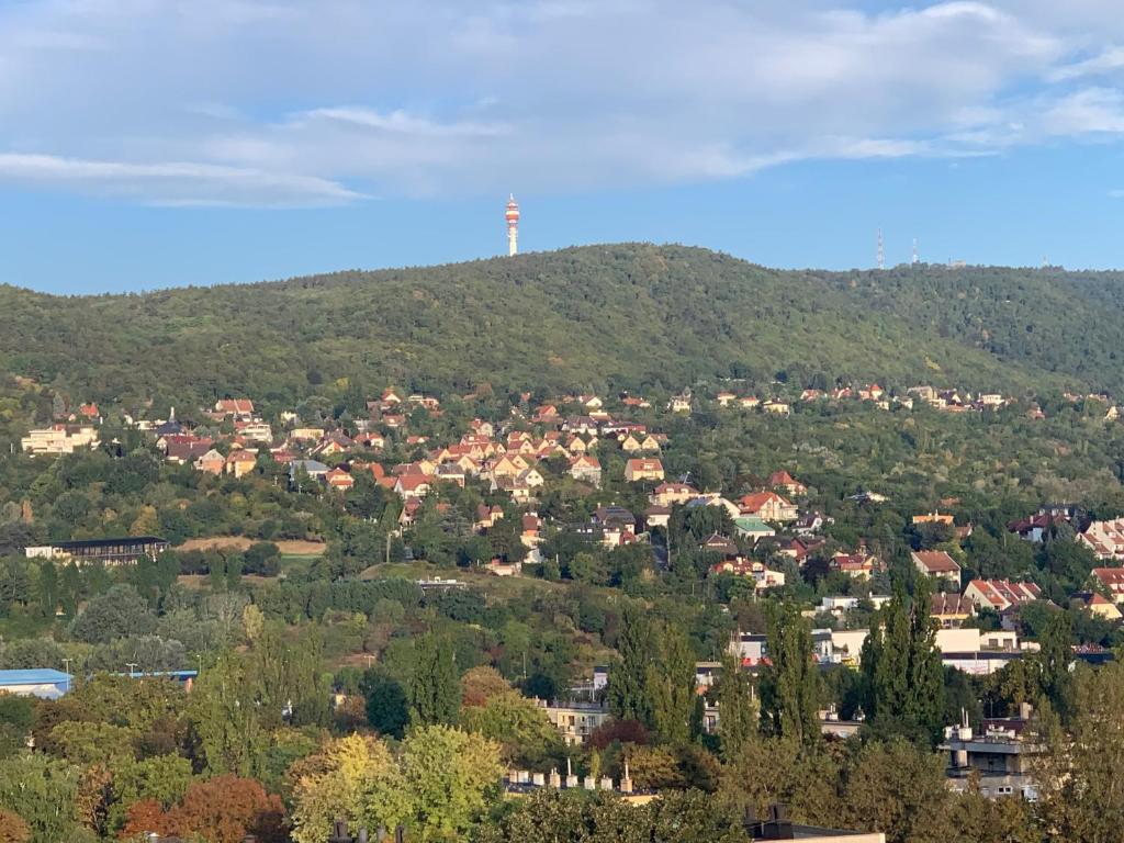 a town on top of a hill with a tower on top at Apartment Simon in Budapest