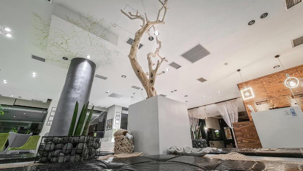 Fotografie z fotogalerie ubytování Trokadero Boutique Hotel v destinaci Itea