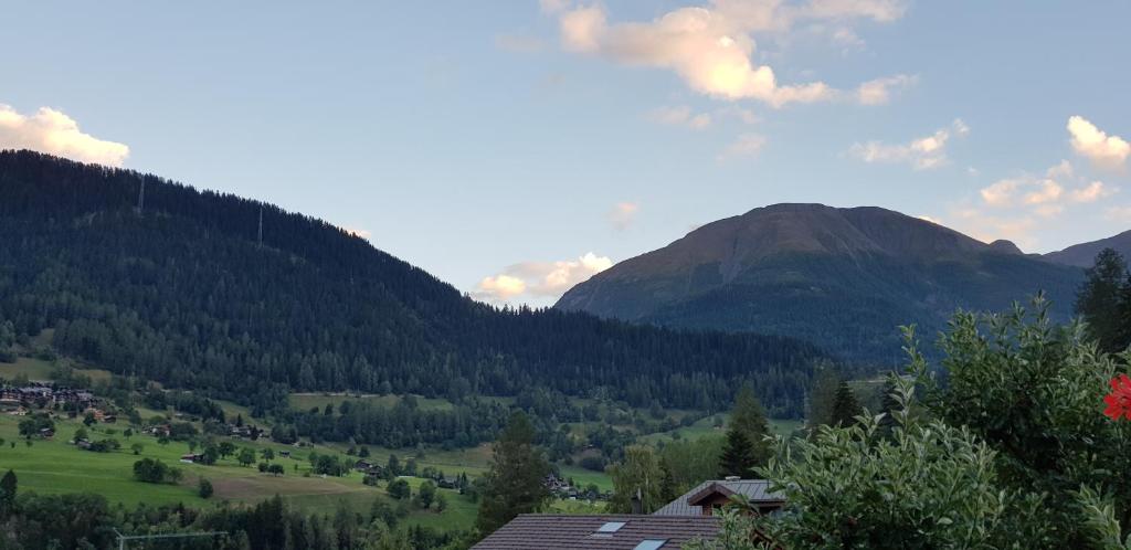 Příroda nedaleko apartmánu