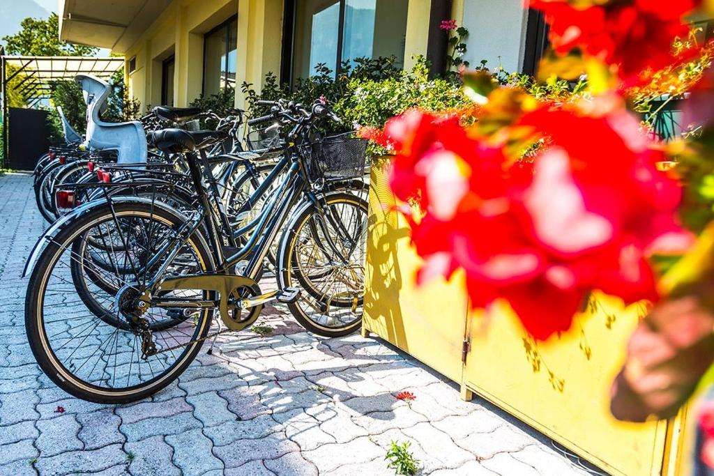 Jízda na kole v ubytování Hotel Campagnola nebo okolí